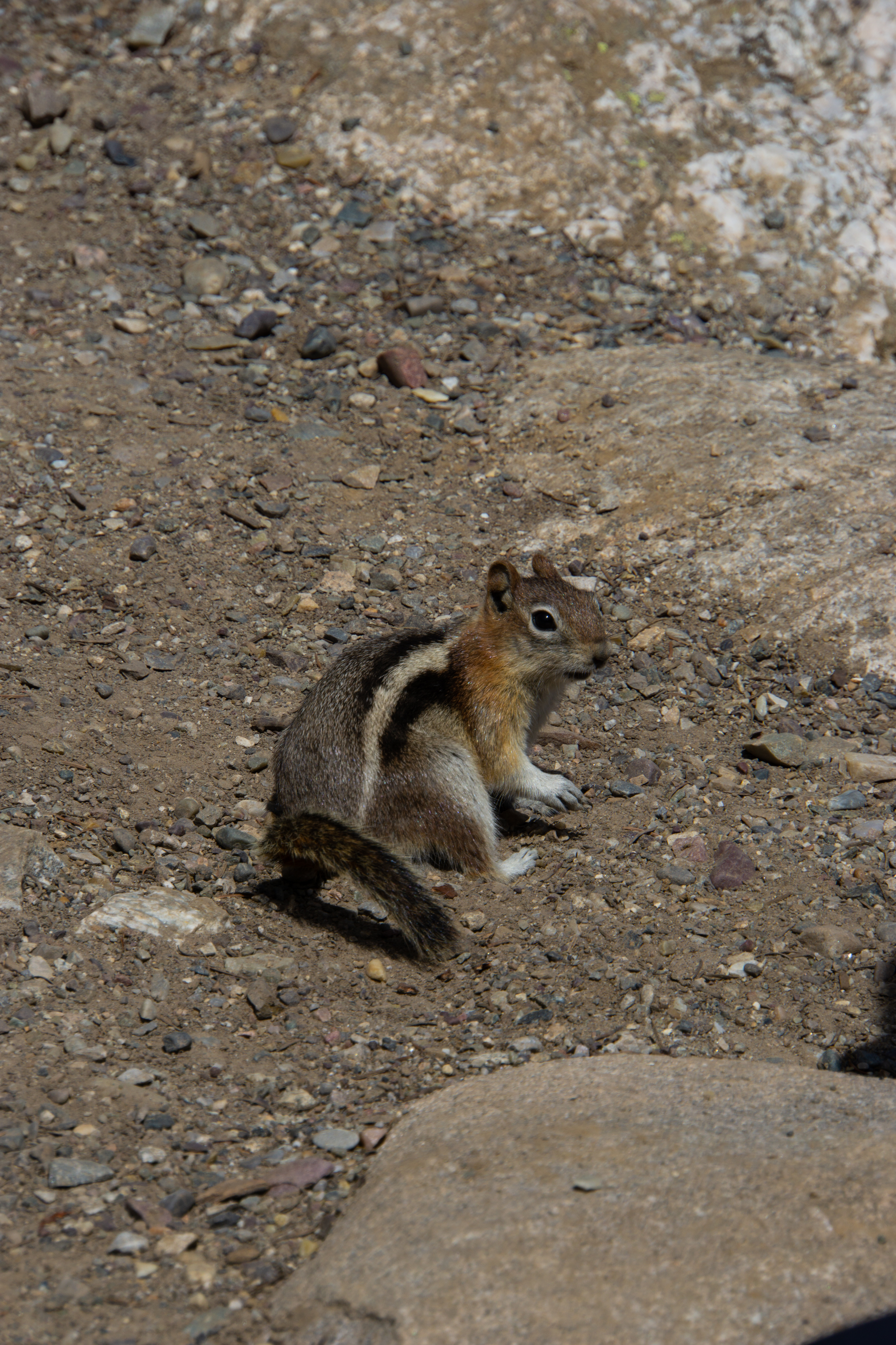 US National Parks 2022 31
